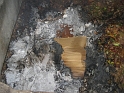bild (2)